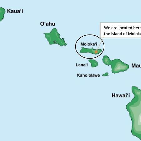 Molokai Island Retreat With Beautiful Ocean Views And Pool - Newly Remodeled! Lejlighed Ualapue Eksteriør billede
