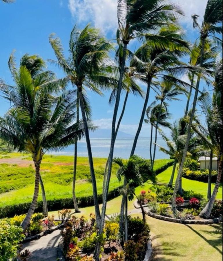 Molokai Island Retreat With Beautiful Ocean Views And Pool - Newly Remodeled! Lejlighed Ualapue Eksteriør billede
