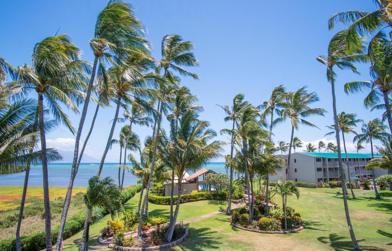 Molokai Island Retreat With Beautiful Ocean Views And Pool - Newly Remodeled! Lejlighed Ualapue Eksteriør billede