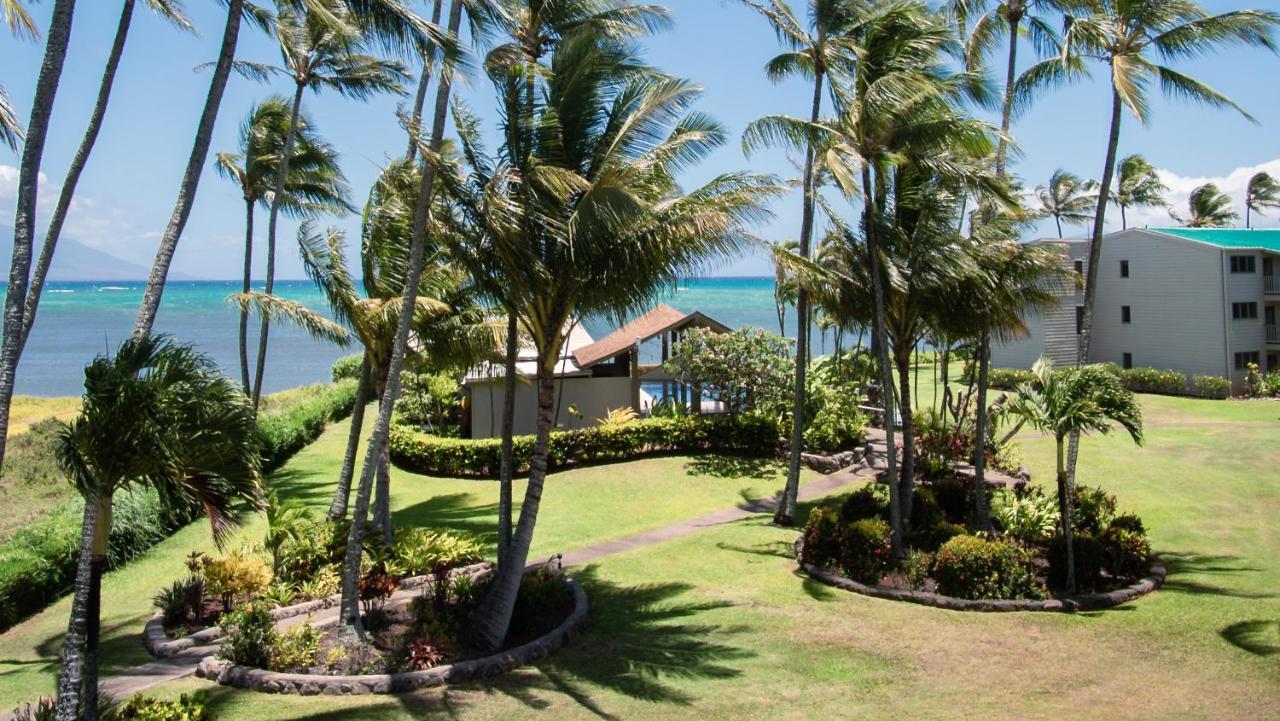 Molokai Island Retreat With Beautiful Ocean Views And Pool - Newly Remodeled! Lejlighed Ualapue Eksteriør billede