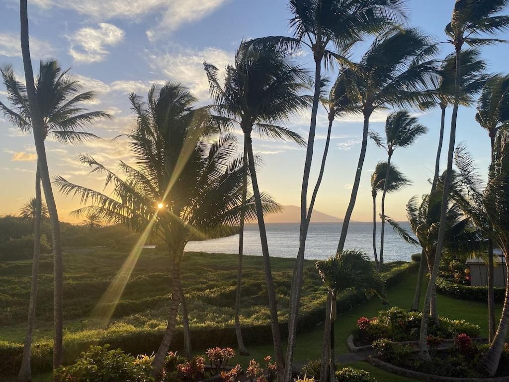 Molokai Island Retreat With Beautiful Ocean Views And Pool - Newly Remodeled! Lejlighed Ualapue Eksteriør billede