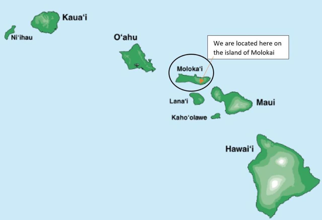 Molokai Island Retreat With Beautiful Ocean Views And Pool - Newly Remodeled! Lejlighed Ualapue Eksteriør billede